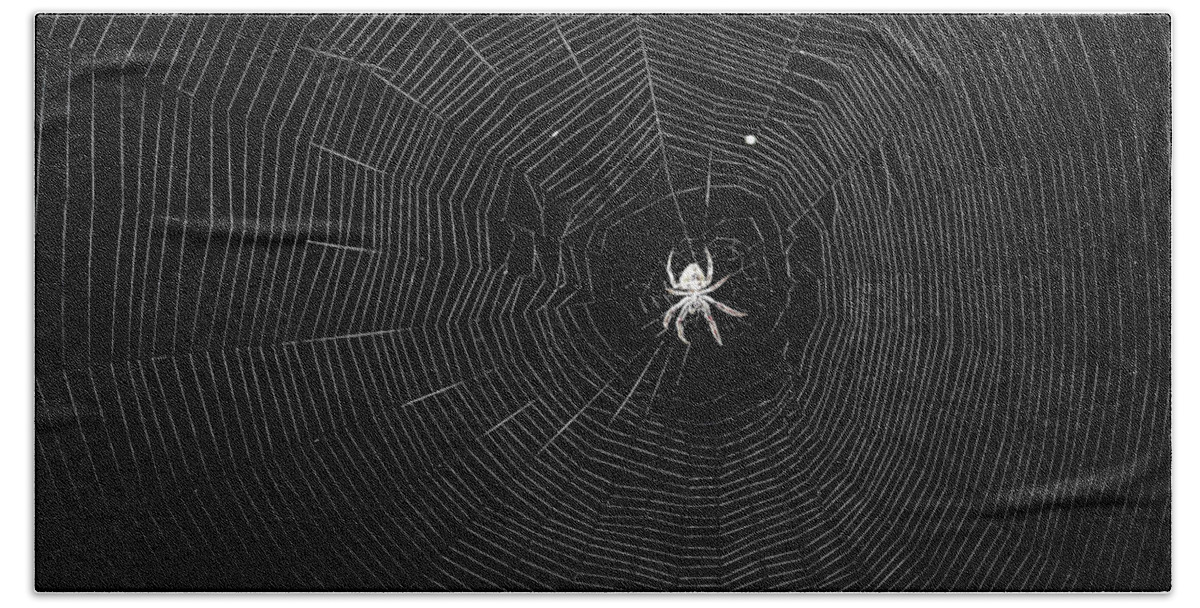 Spider Bath Towel featuring the photograph The Web by Jerry Connally