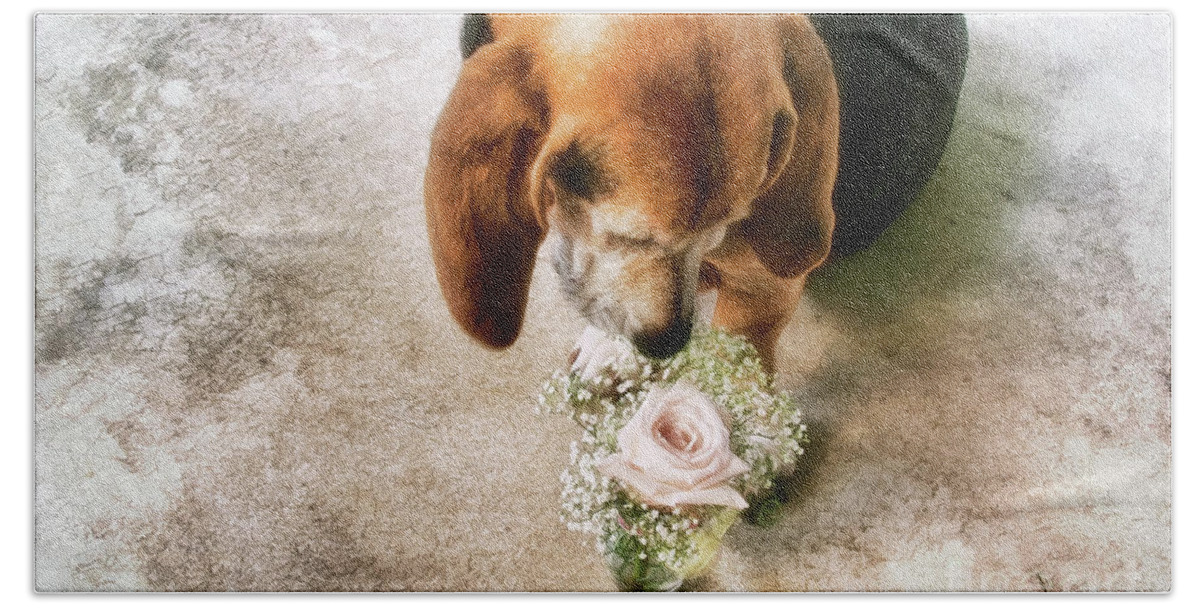 Dog Hand Towel featuring the photograph This Flower Is For You by Joan Bertucci