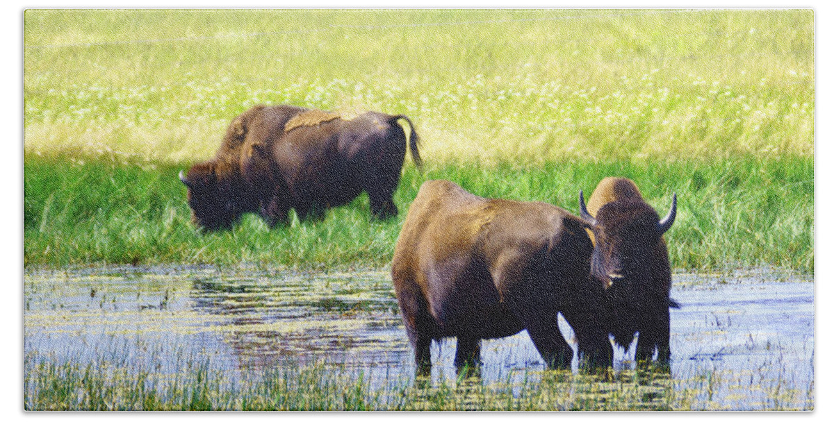 Bison Bath Towel featuring the photograph Three Amigos by Tracey Vivar