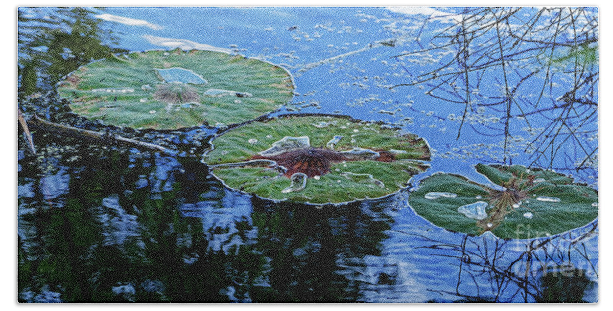 Lily Pad Bath Towel featuring the photograph Three Fading Lily Pads by Paul Mashburn