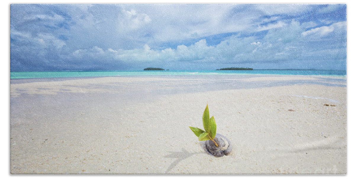 Coconut Bath Towel featuring the photograph To Be a Coconut by Becqi Sherman