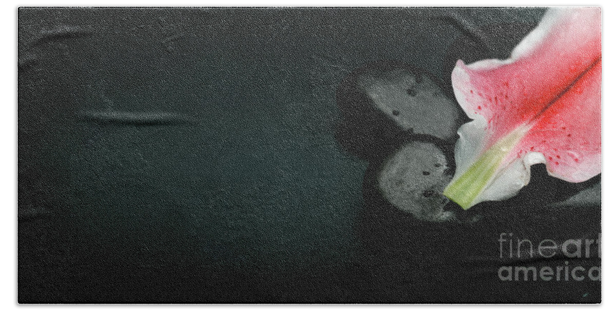 Spa Bath Towel featuring the photograph Top view of spa stones and flower petal over black background by Jelena Jovanovic