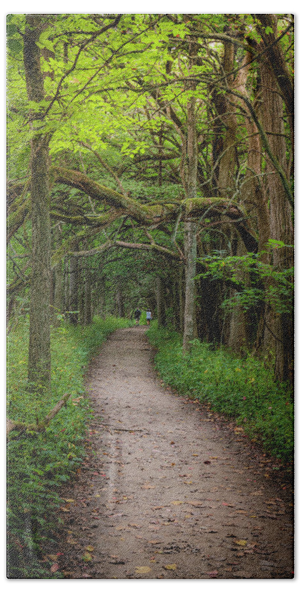 Woods Hand Towel featuring the photograph Tranquil Stroll by Arthur Oleary
