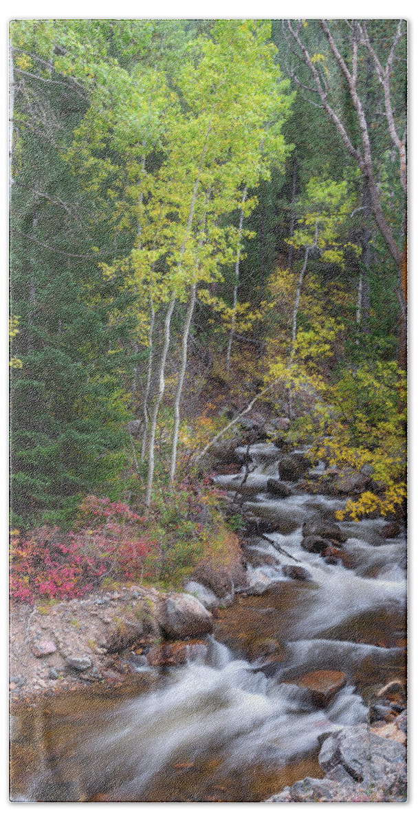 Left Hand Creek Bath Towel featuring the photograph Tranquility on the Stream by James BO Insogna