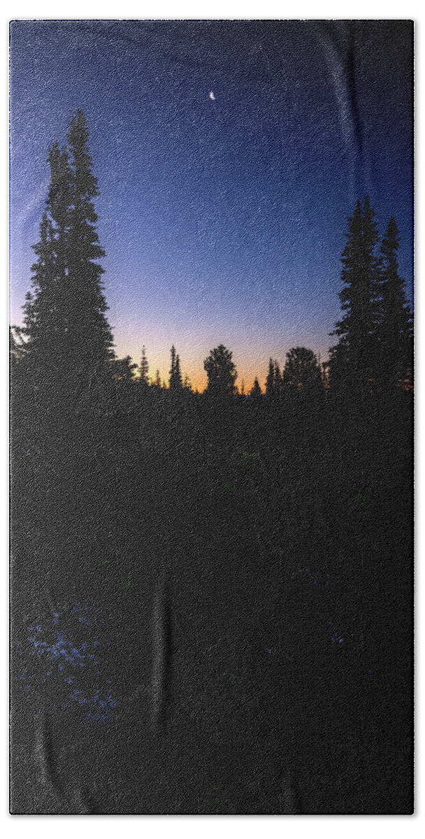 Tree Bath Towel featuring the photograph Tree Silhouette Sunrise 2 by Pelo Blanco Photo
