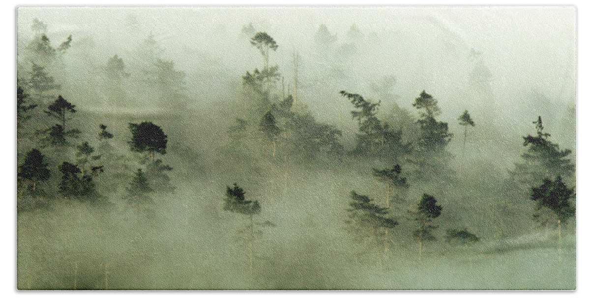 Fog Bath Towel featuring the photograph Trees peeking through the fog at sunrise by Leslie Struxness