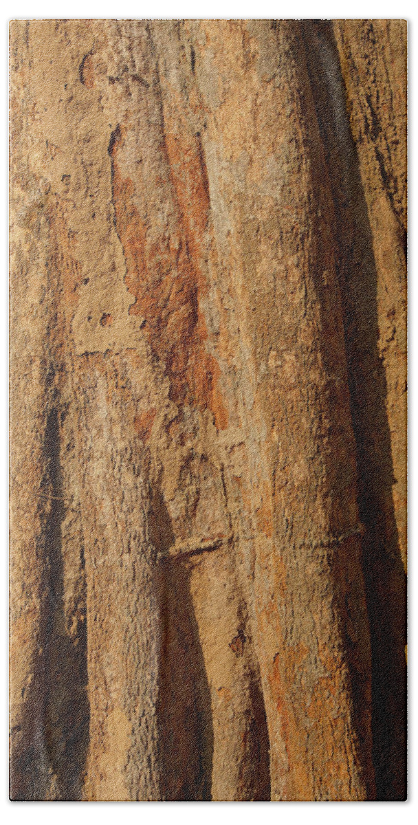 Cambodia Hand Towel featuring the photograph Tree trunk and bark of Chambak by Steve Estvanik