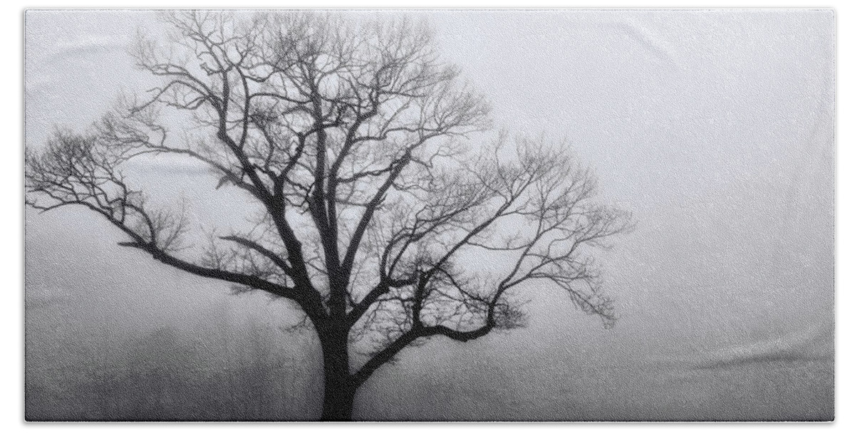 Trees Hand Towel featuring the photograph Trees in Fog # 2 by Allen Beatty