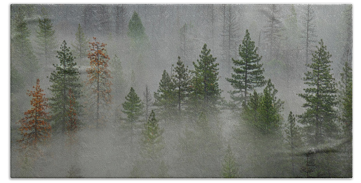 Forest Bath Towel featuring the photograph Trees in Yosemite by Jon Glaser