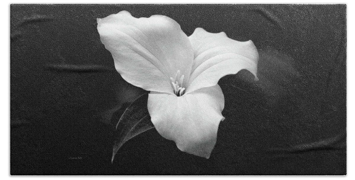 Black And White Bath Towel featuring the photograph Trillium Flower Black and White by Christina Rollo
