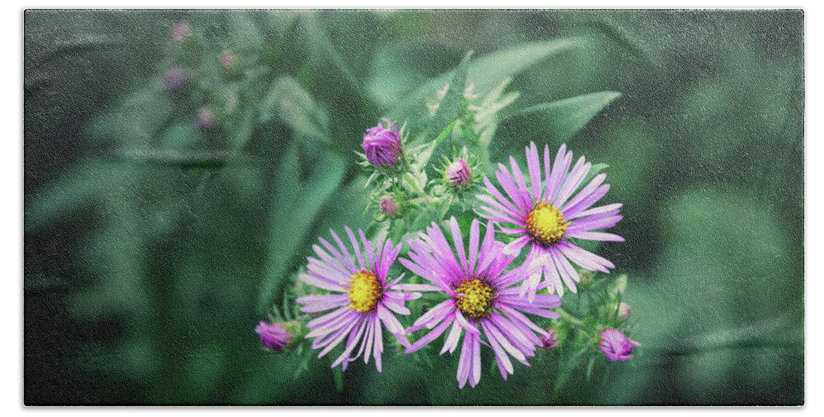 New England Aster Bath Towel featuring the photograph Trio of New England Aster Blooms by Scott Norris