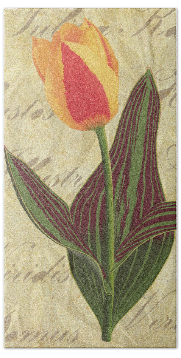 Tulip Bath Towel featuring the painting Tulipa Kaufmanniana Spring by Nikita Coulombe