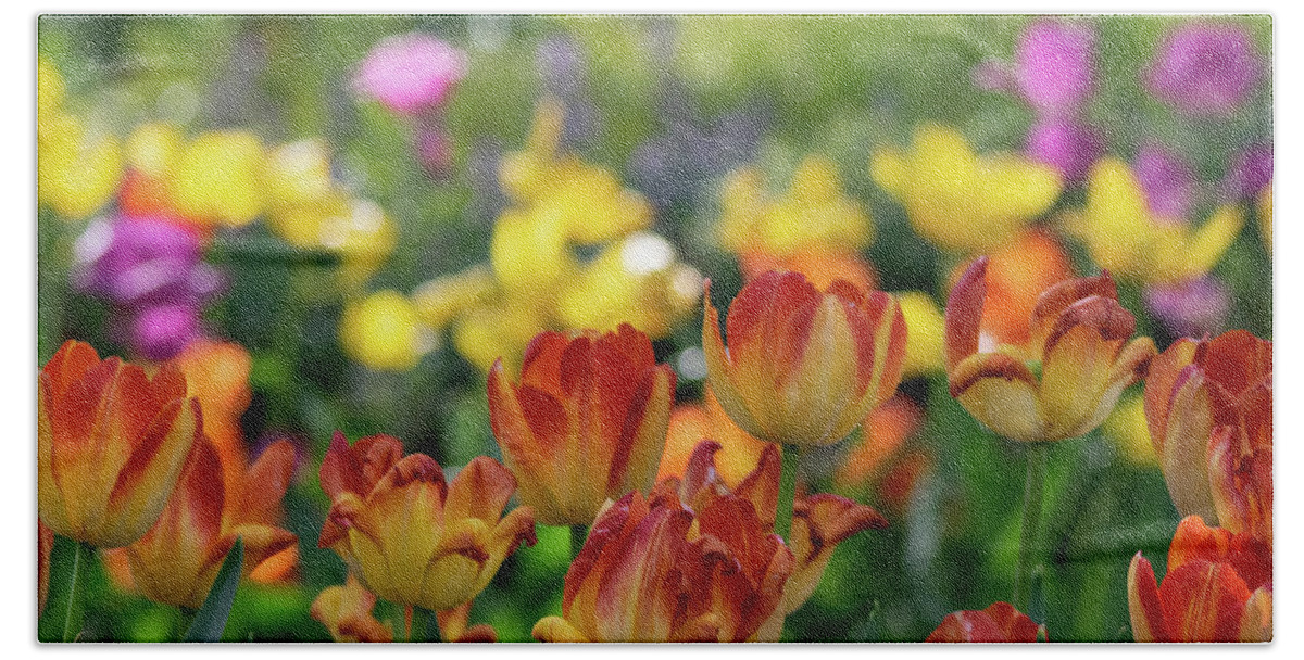 Tulips Bath Towel featuring the photograph Tulips and Bokeh by Mary Ann Artz