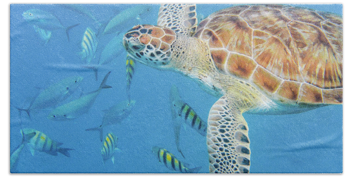 Turtle Bath Towel featuring the photograph Turtle and fish by Mark Hunter