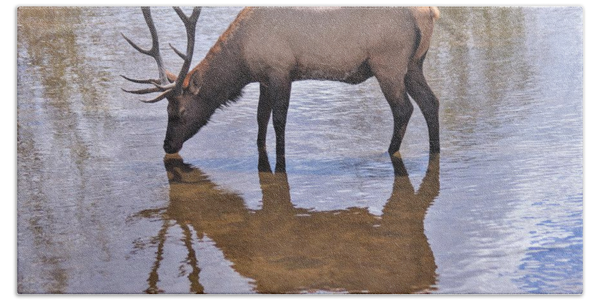Nature Hand Towel featuring the photograph Twice the Bull by Larry Kniskern