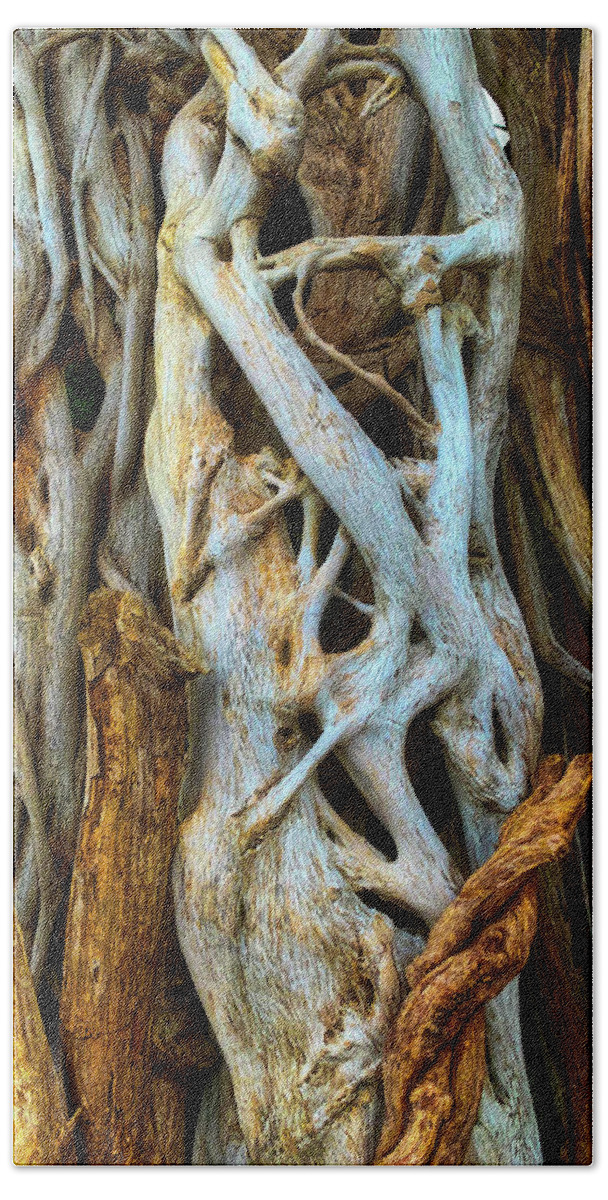 Twisted Bath Towel featuring the photograph Twisted Tree Limbs by Garry Gay