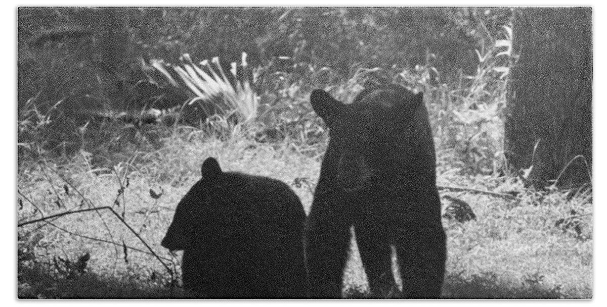 Florida Bath Towel featuring the photograph Two Black Bears by Lindsey Floyd