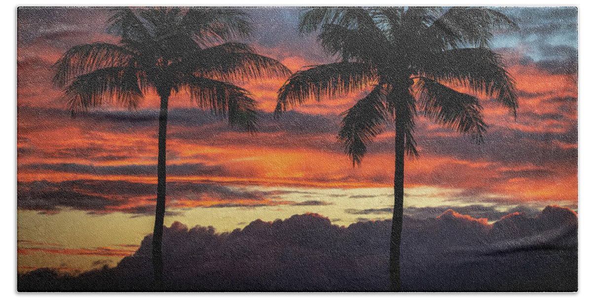 Hawaii Hand Towel featuring the photograph Two Coconuts by G Lamar Yancy