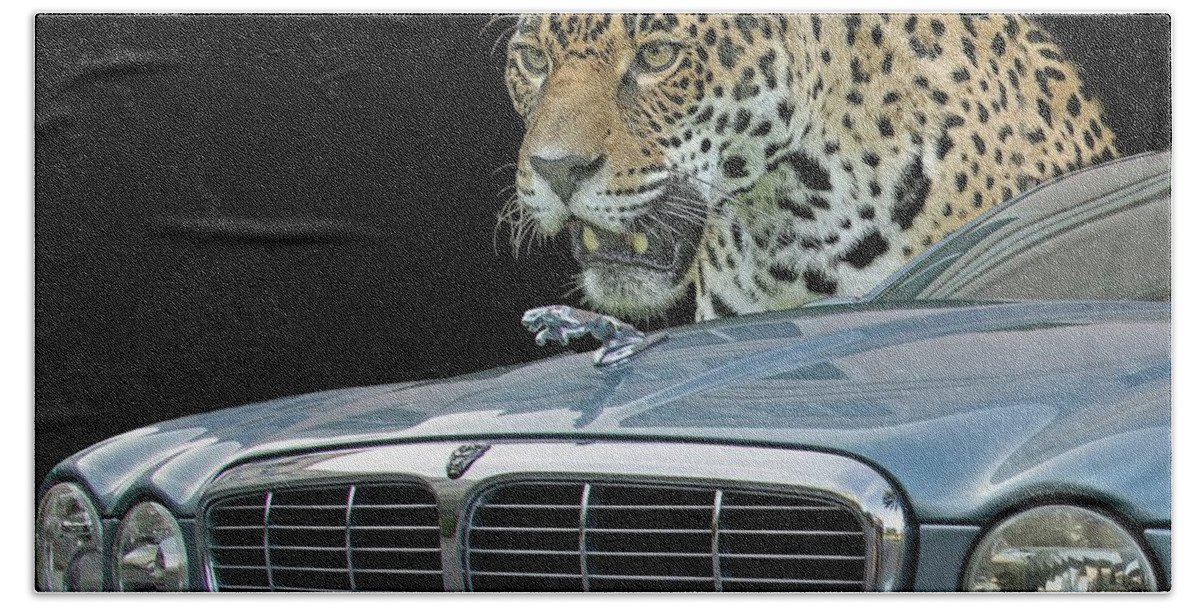 Jaguar Hand Towel featuring the photograph Two Jaguars 2 by Larry Linton