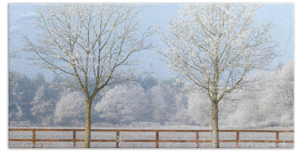 Landscape Bath Towel featuring the photograph Two trees in a deep frozen winter by Simon Bratt