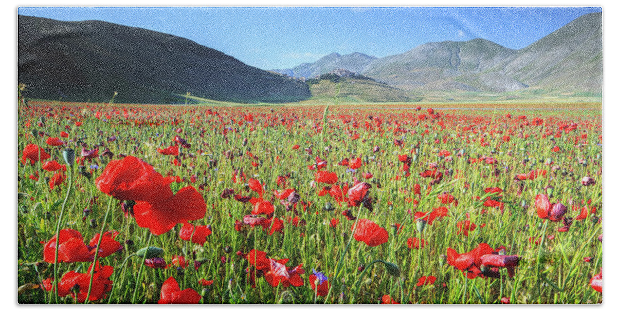 Estock Hand Towel featuring the digital art Umbria, Poppies On Pian Grande, Italy by Maurizio Rellini