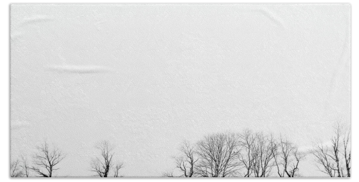 Trees Bath Towel featuring the photograph Under a Winter Sky by Nancy De Flon