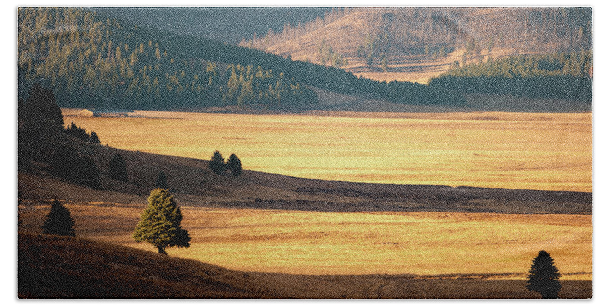 Valles Caldera National Preserve Hand Towel featuring the photograph Valles Caldera Detail by Jeff Phillippi