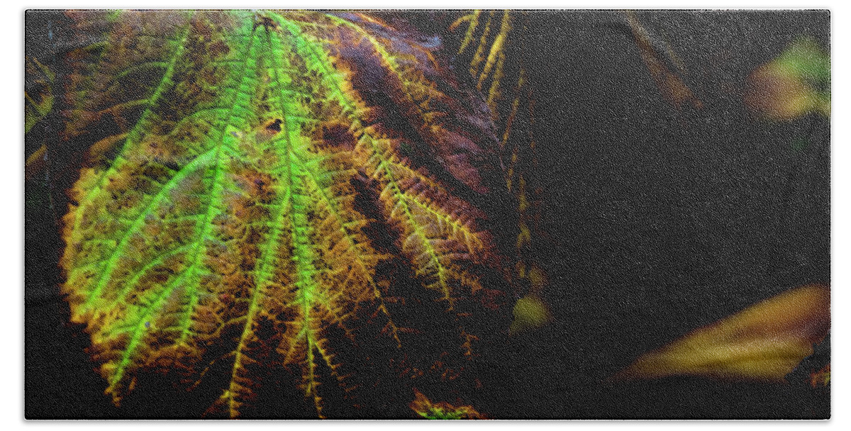 Tree Bath Towel featuring the photograph Vivid Veins of Green by Christopher Maxum