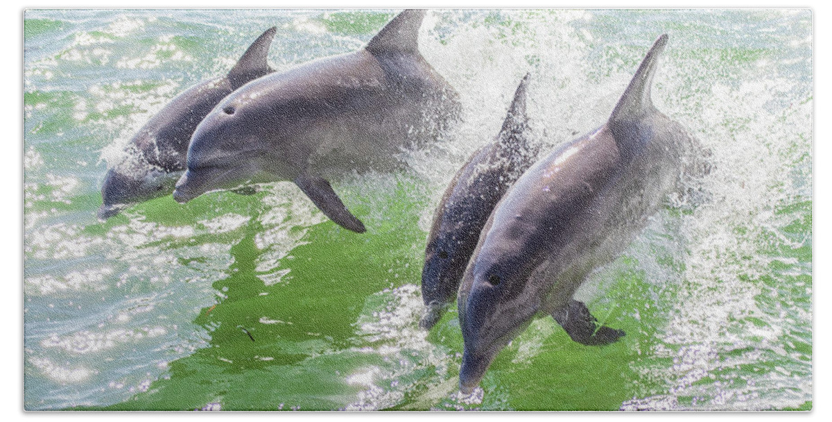 Captiva Island Hand Towel featuring the photograph Wake Surfing Dolphin Family by Stefan Mazzola