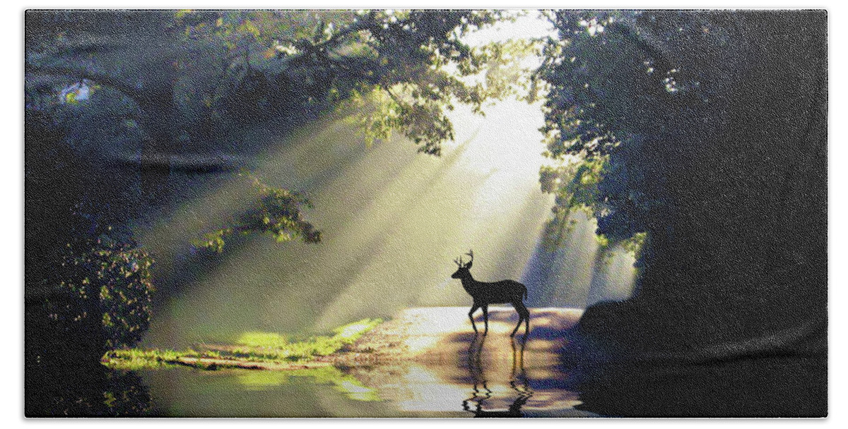 2d Bath Towel featuring the photograph Wake Up Deer by Brian Wallace