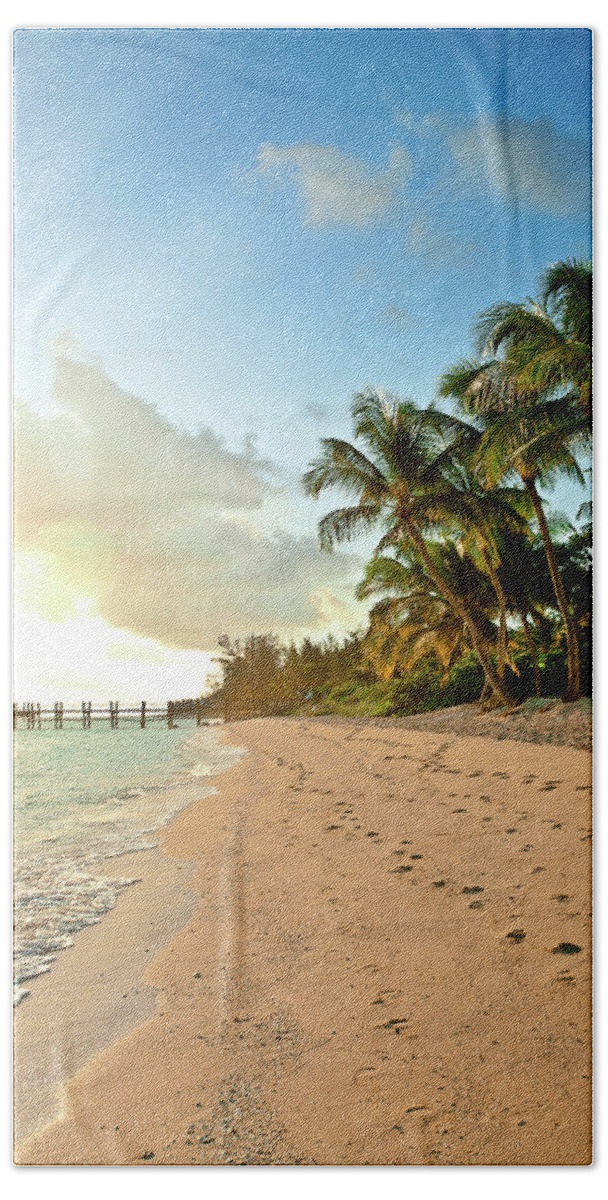 Walk Hand Towel featuring the painting Walk The Beach by Susan Bryant