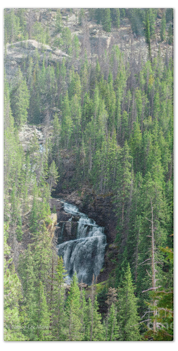 Absaroka Beartooth Bath Towel featuring the photograph Waterfall View along the Beartooth Highway by Nancy Lee Moran