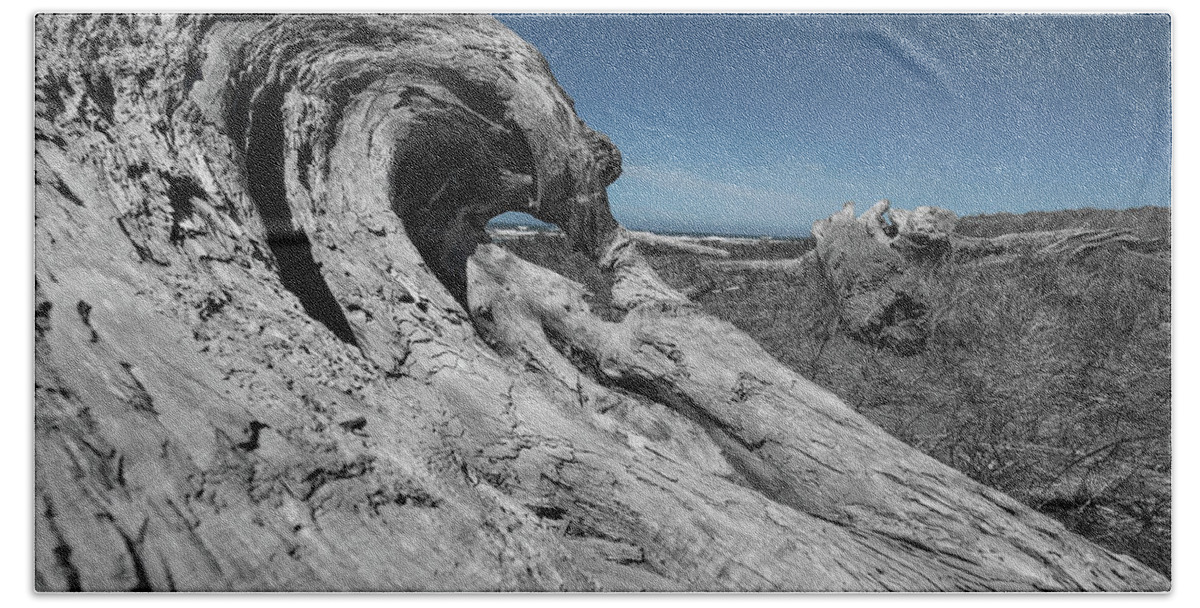 Nature Bath Towel featuring the photograph Weathered Wood on the Beach by Bob Cournoyer