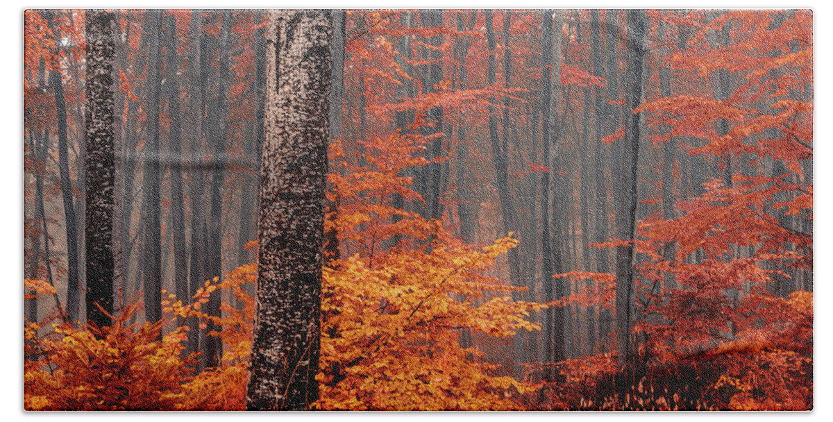 Mist Bath Towel featuring the photograph Welcome To Orange Forest by Evgeni Dinev