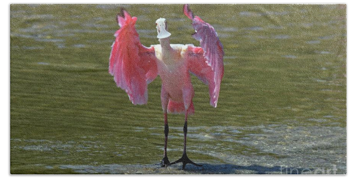 Roseate Spoonbill Bath Towel featuring the photograph What's Up by Liz Grindstaff