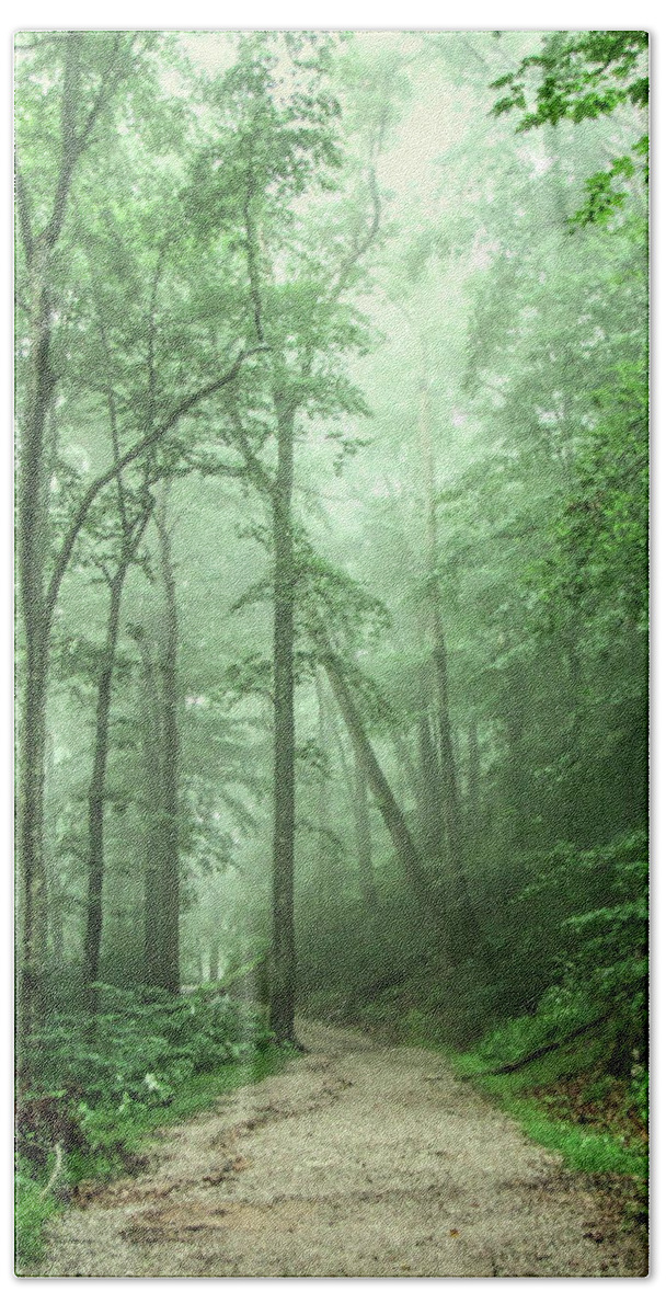 Woods Hand Towel featuring the photograph Whispering Woods by Susan Hope Finley