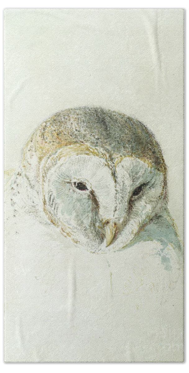 Art Hand Towel featuring the painting White Barn Owl, From The Farnley Book Of Birds, C.1816 by Joseph Mallord William Turner