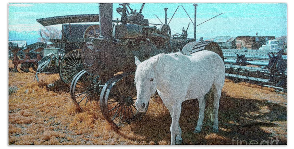 Pasture Hand Towel featuring the photograph White Horse Iron Horse by Martin Konopacki