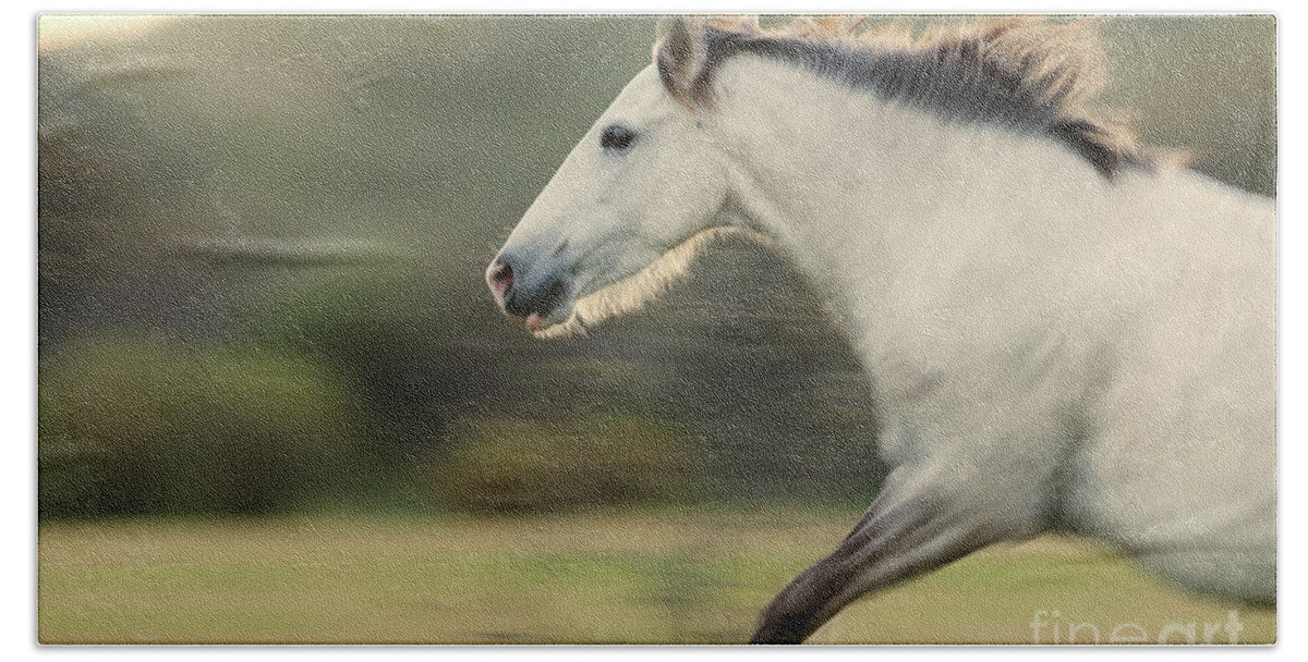 Stallion Bath Towel featuring the photograph White Lightning by Shannon Hastings