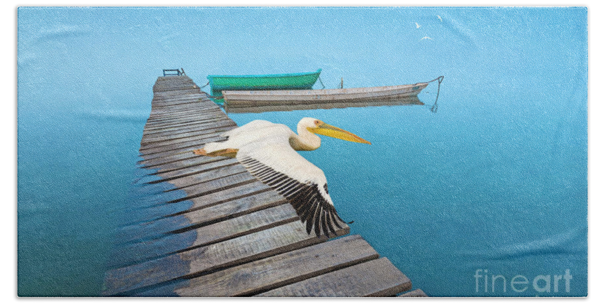 White Pelican Hand Towel featuring the photograph White Pelican and Ocean Blue by Laura D Young