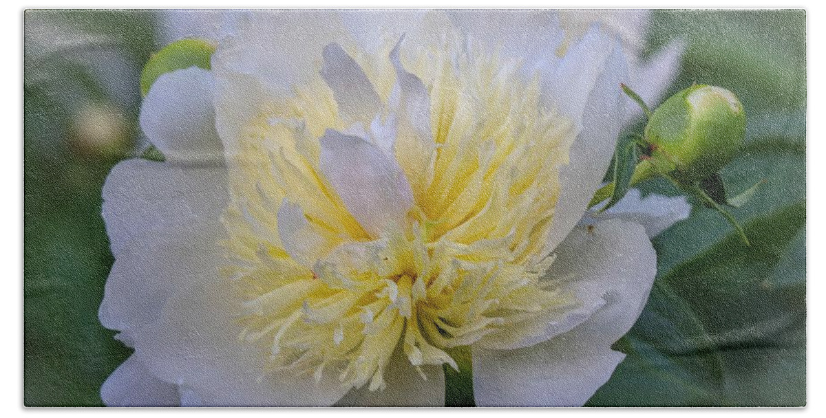 Peony Hand Towel featuring the photograph White Peony by Susan Rydberg
