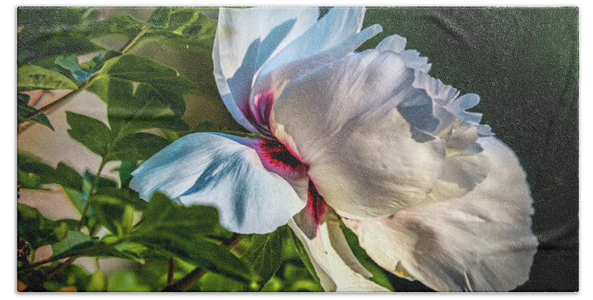 White Petals Bath Towel featuring the photograph White Petals #i4 by Leif Sohlman