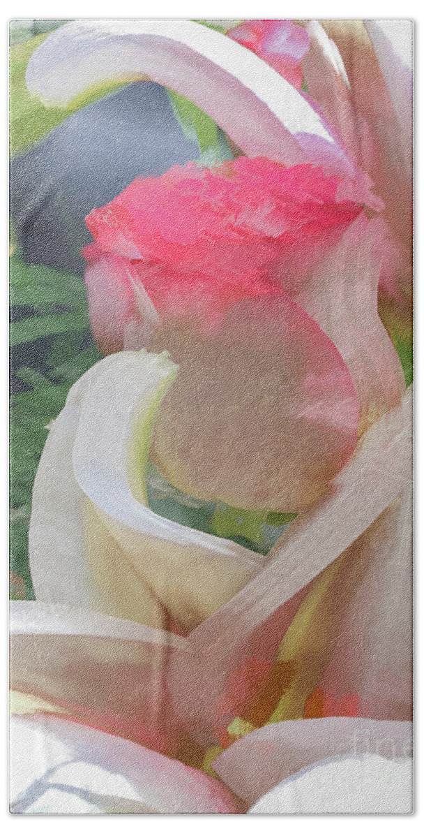Abstract Hand Towel featuring the photograph White Rose Petal Abstract by Phillip Rubino