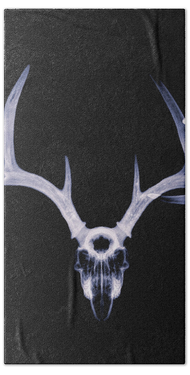 Kansas Bath Towel featuring the photograph White-tailed Deer x-ray 003 by Rob Graham