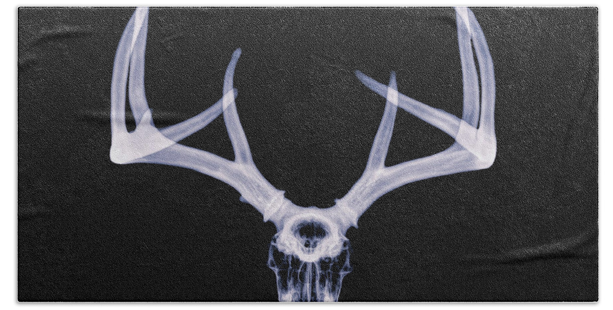 Kansas Bath Towel featuring the photograph White-tailed Deer x-ray 005 by Rob Graham