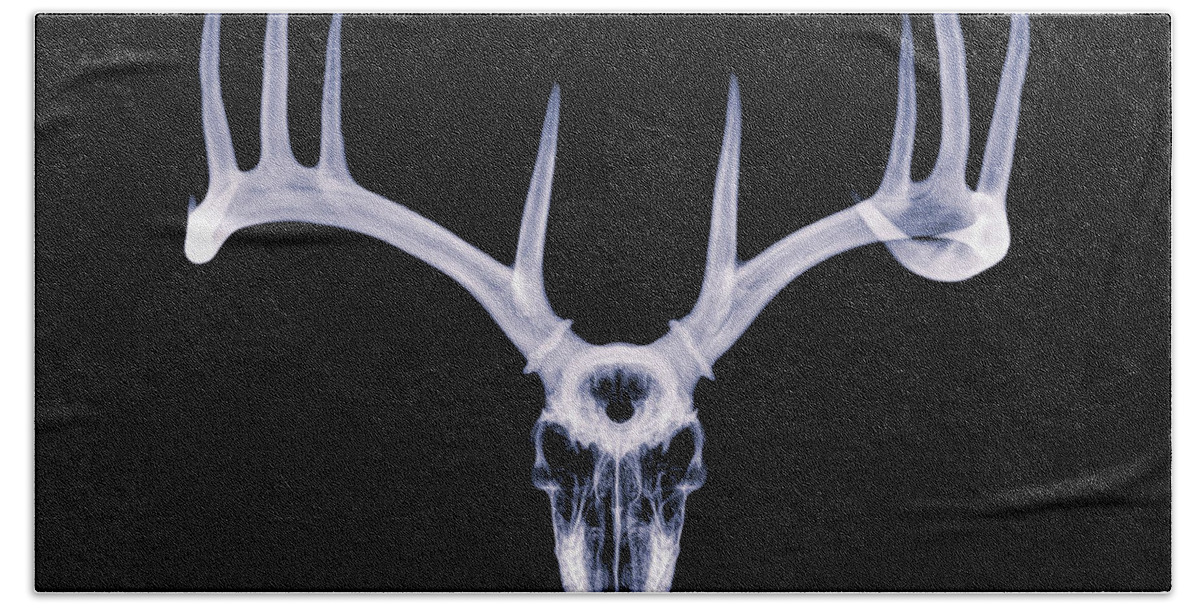 Kansas Bath Towel featuring the photograph White-tailed Deer x-ray 013 by Rob Graham