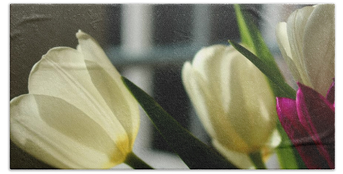 Tulip Bath Towel featuring the photograph White Tulips By the Window by Loretta S
