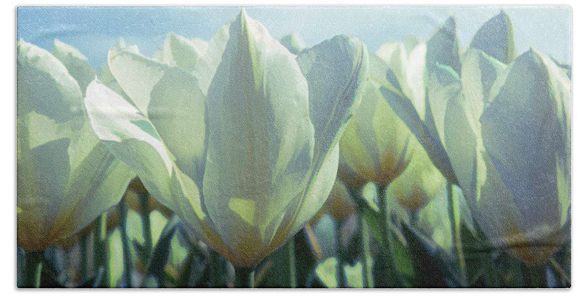 White Tulips Hand Towel featuring the photograph White Tulips by Steve Ladner
