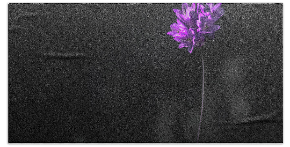 Purple Hand Towel featuring the photograph Wild Flower by Debra Kewley