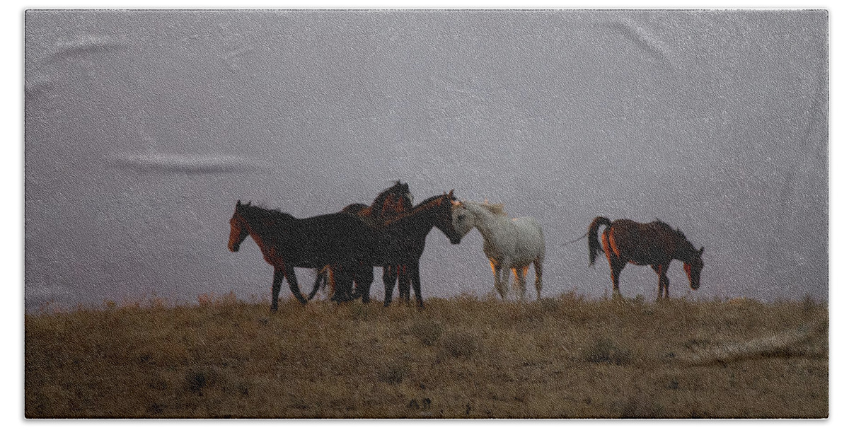 Wild Horse Hand Towel featuring the photograph Wild Horses in Ute Country #2 by Jonathan Thompson